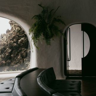 Biomorphic Sofa II — Biomorphic Organic Forms