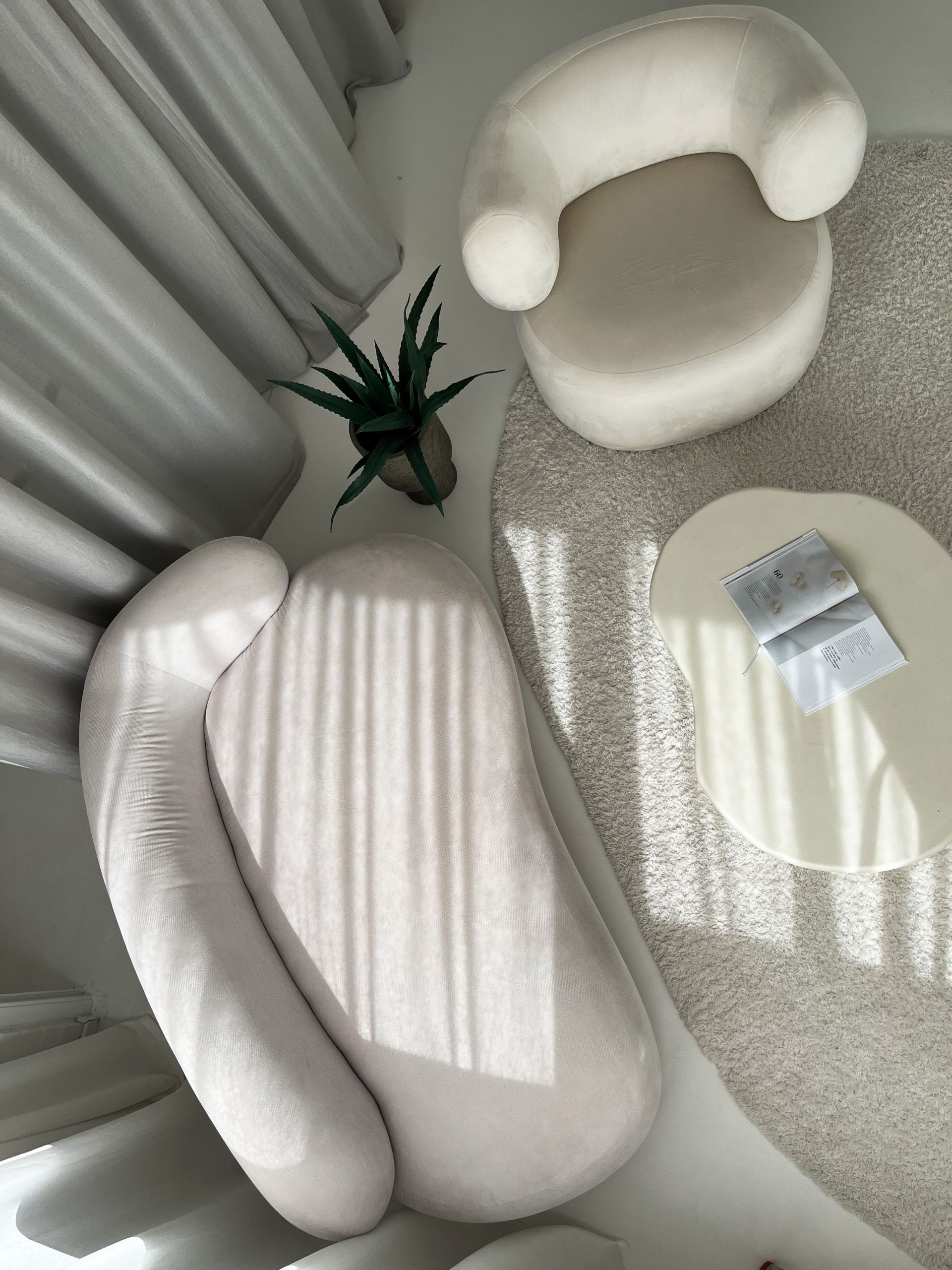Biomorphic Organic Forms