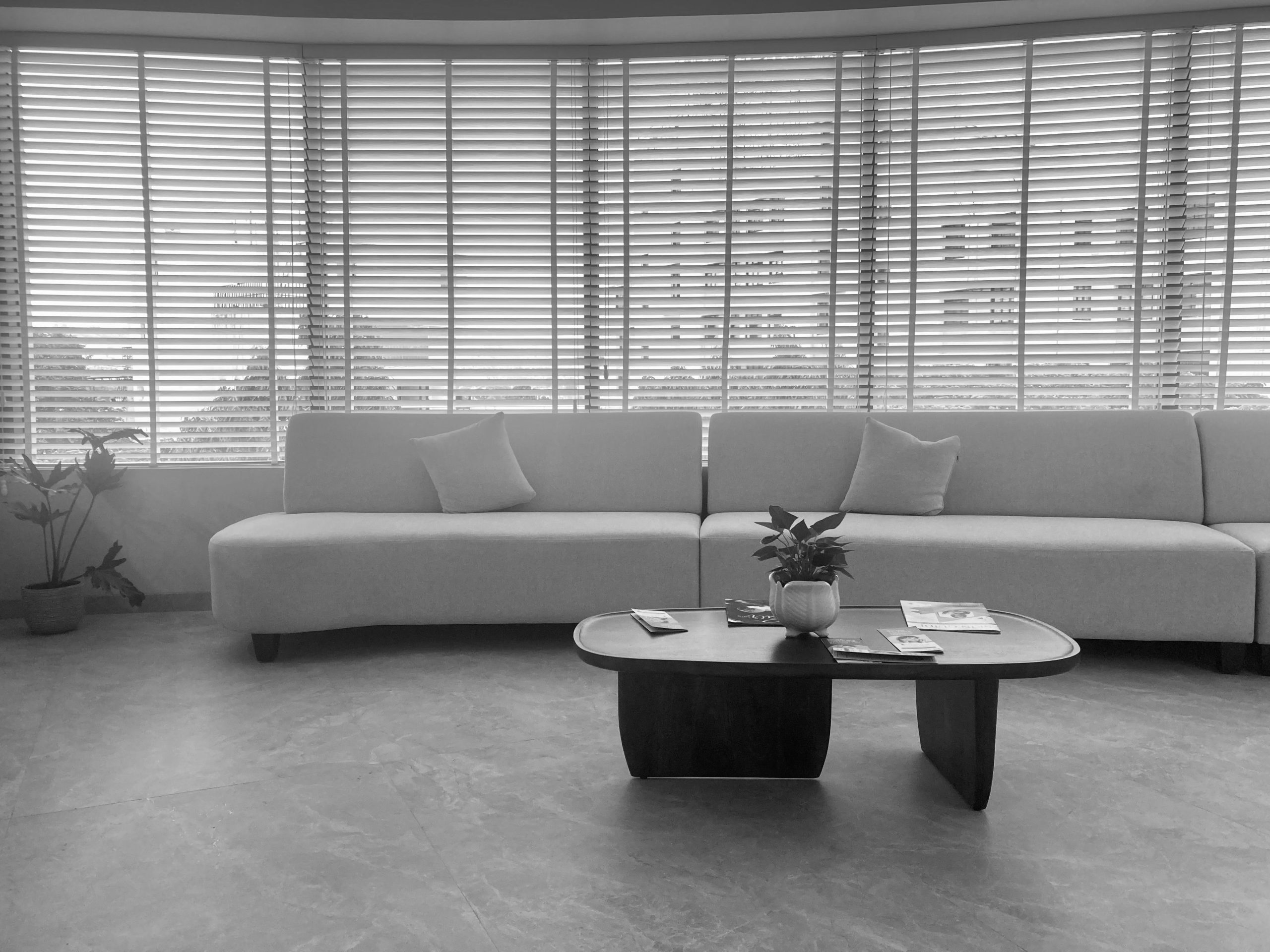 Soft Curve Coffee Table — Quiet Luxury Minimalism